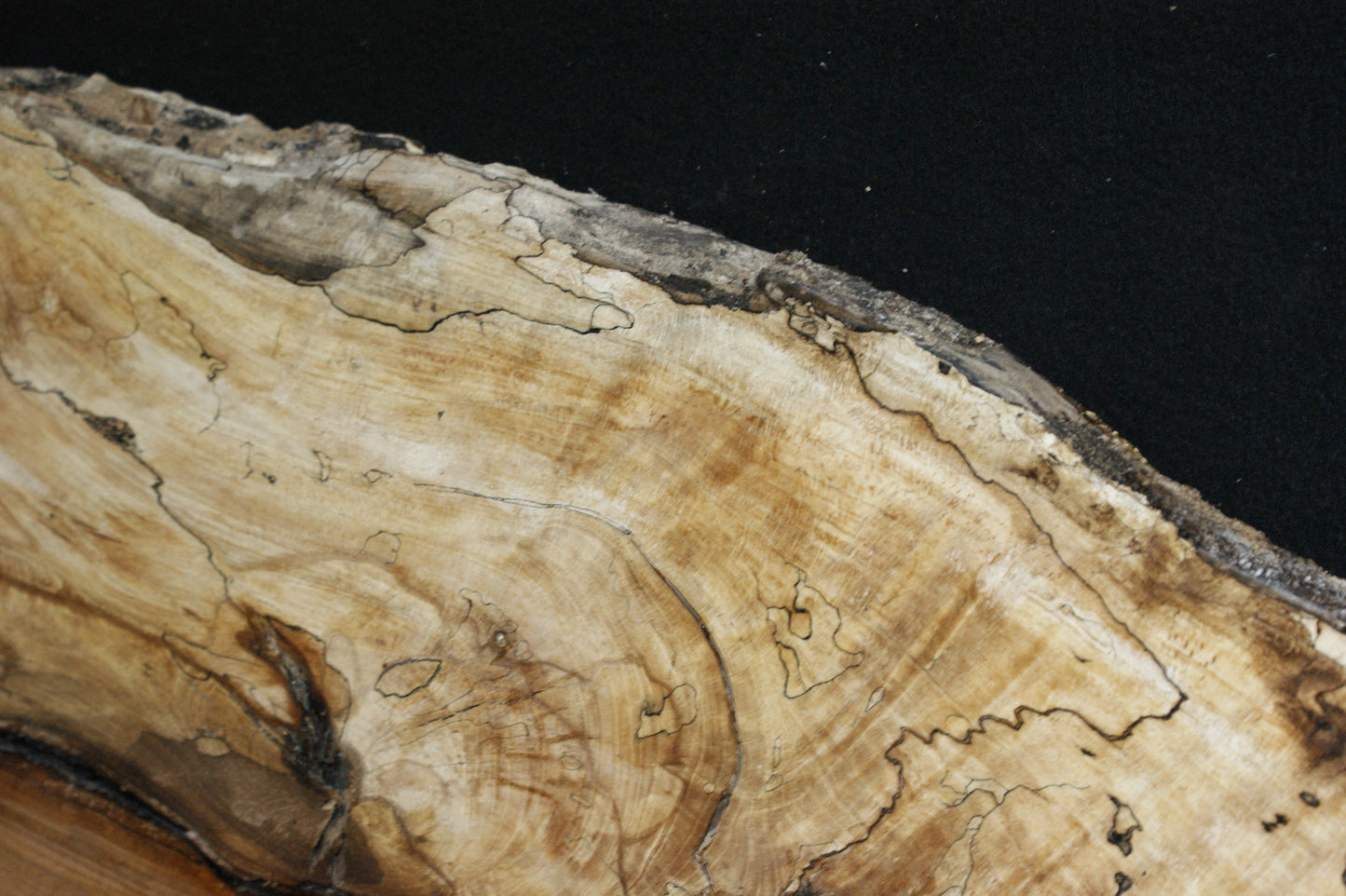 Spalted Beech (663)