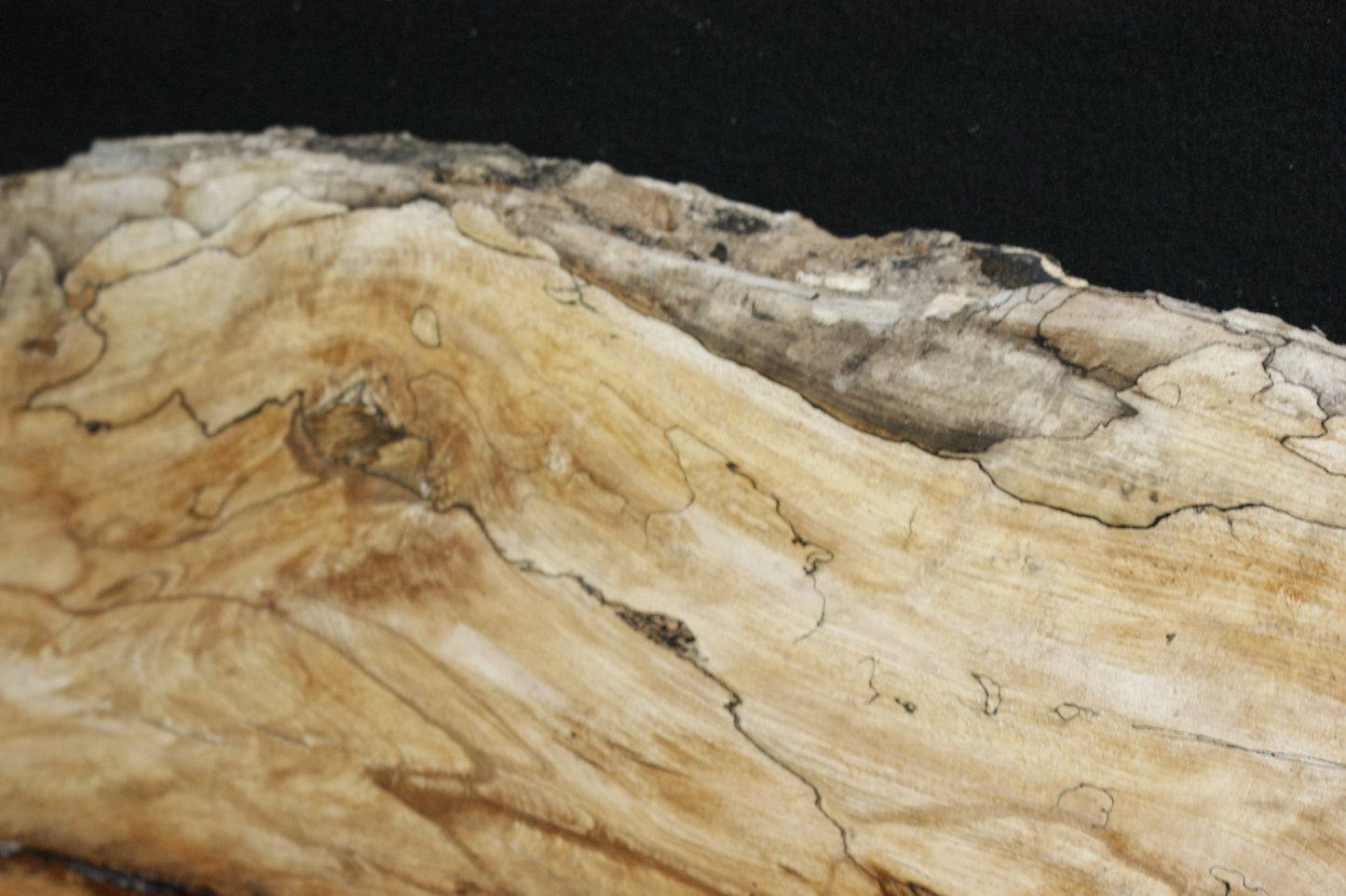 Spalted Beech (663)