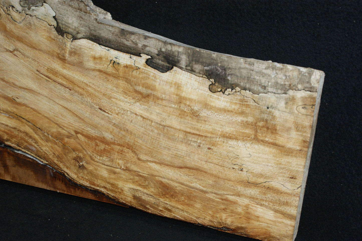Spalted Beech (663)