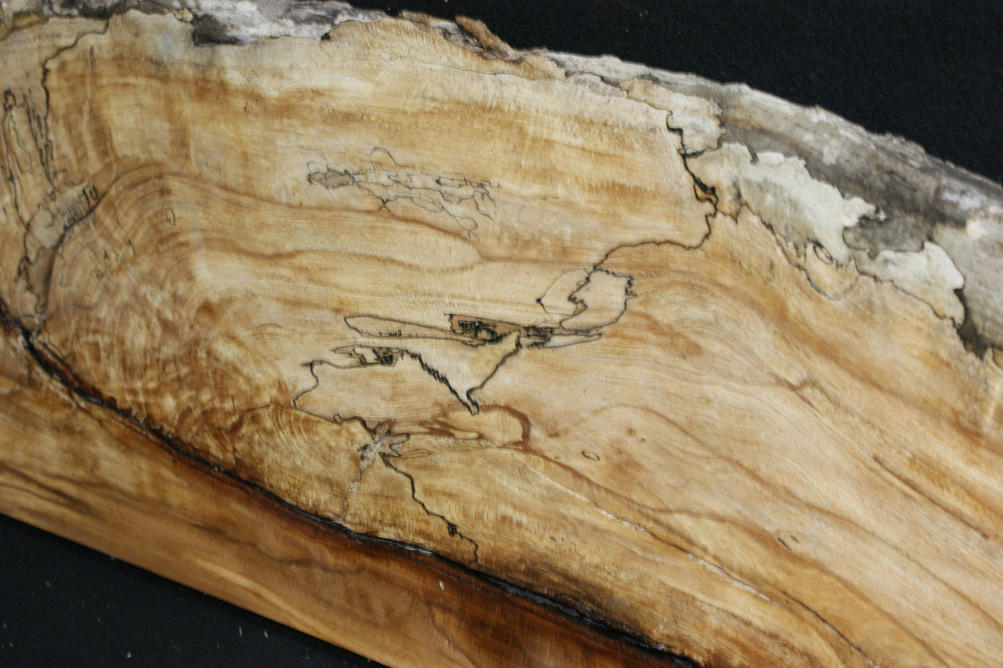 Spalted Beech (663)
