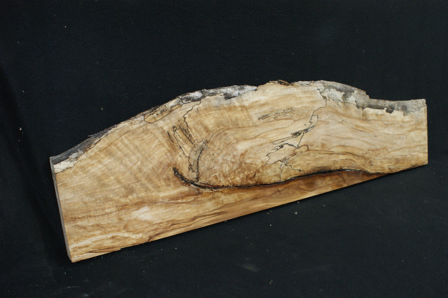 Spalted Beech (663)