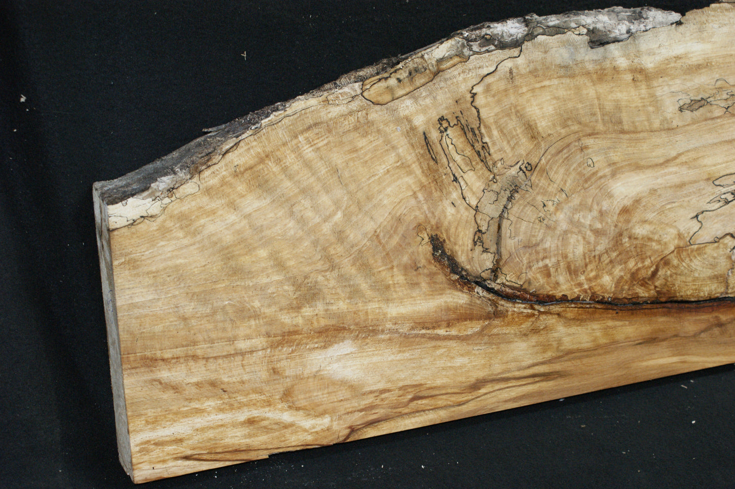 Spalted Beech (663)