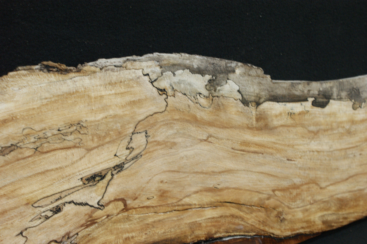 Spalted Beech (663)