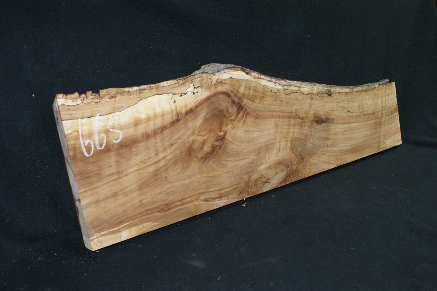 Spalted Beech (665)