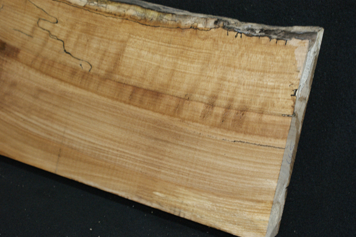 Spalted Beech (665)