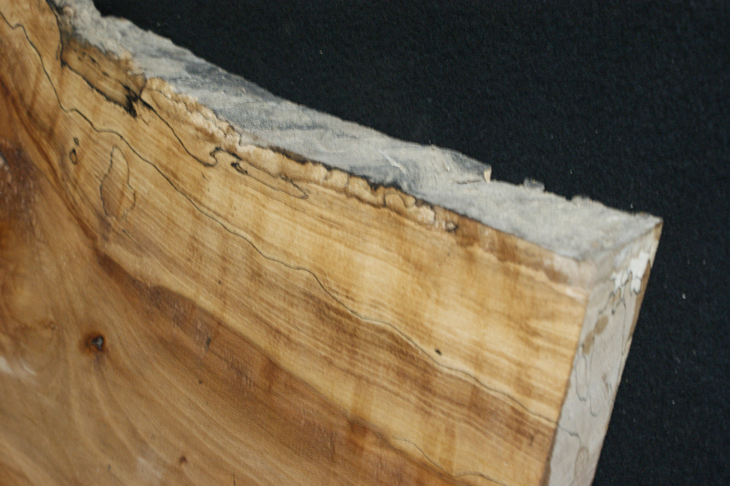 Spalted Beech (665)