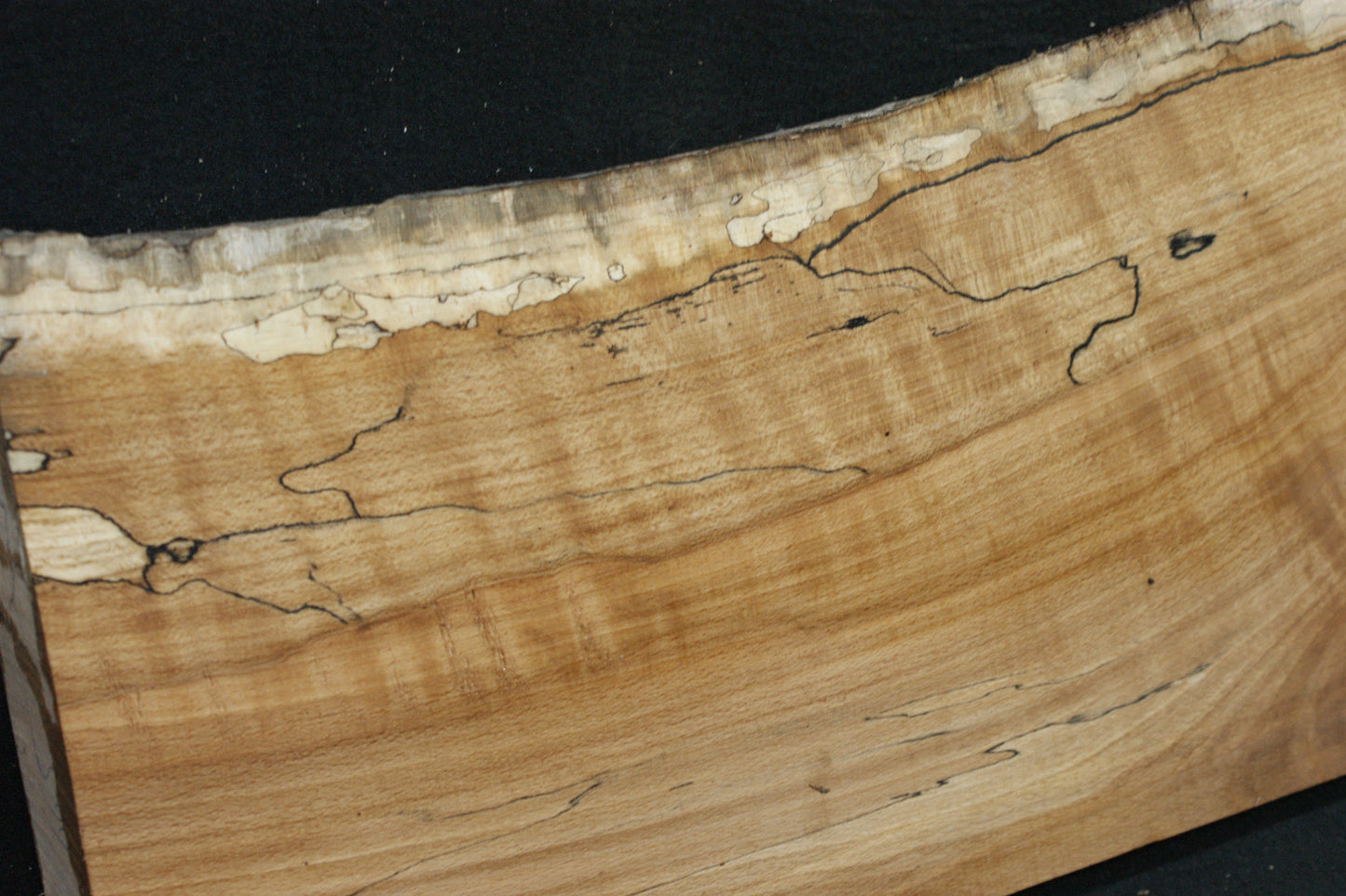 Spalted Beech (665)