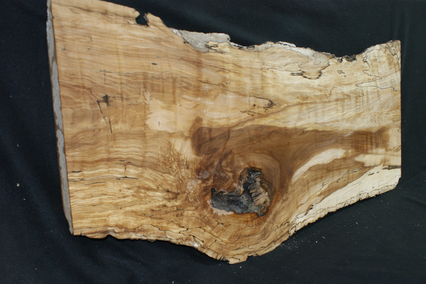 Spalted Beech (667)