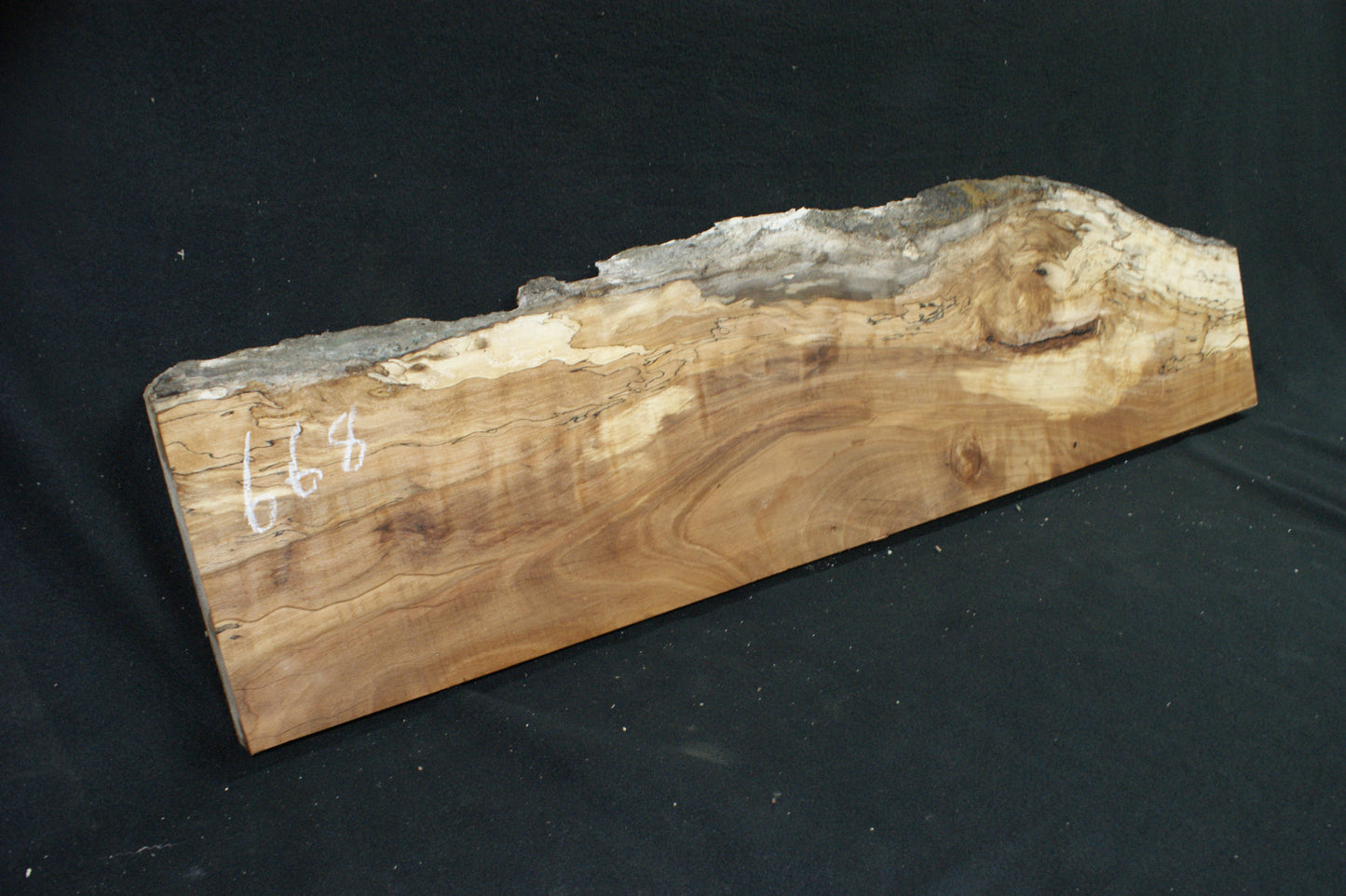 Spalted Beech (668)