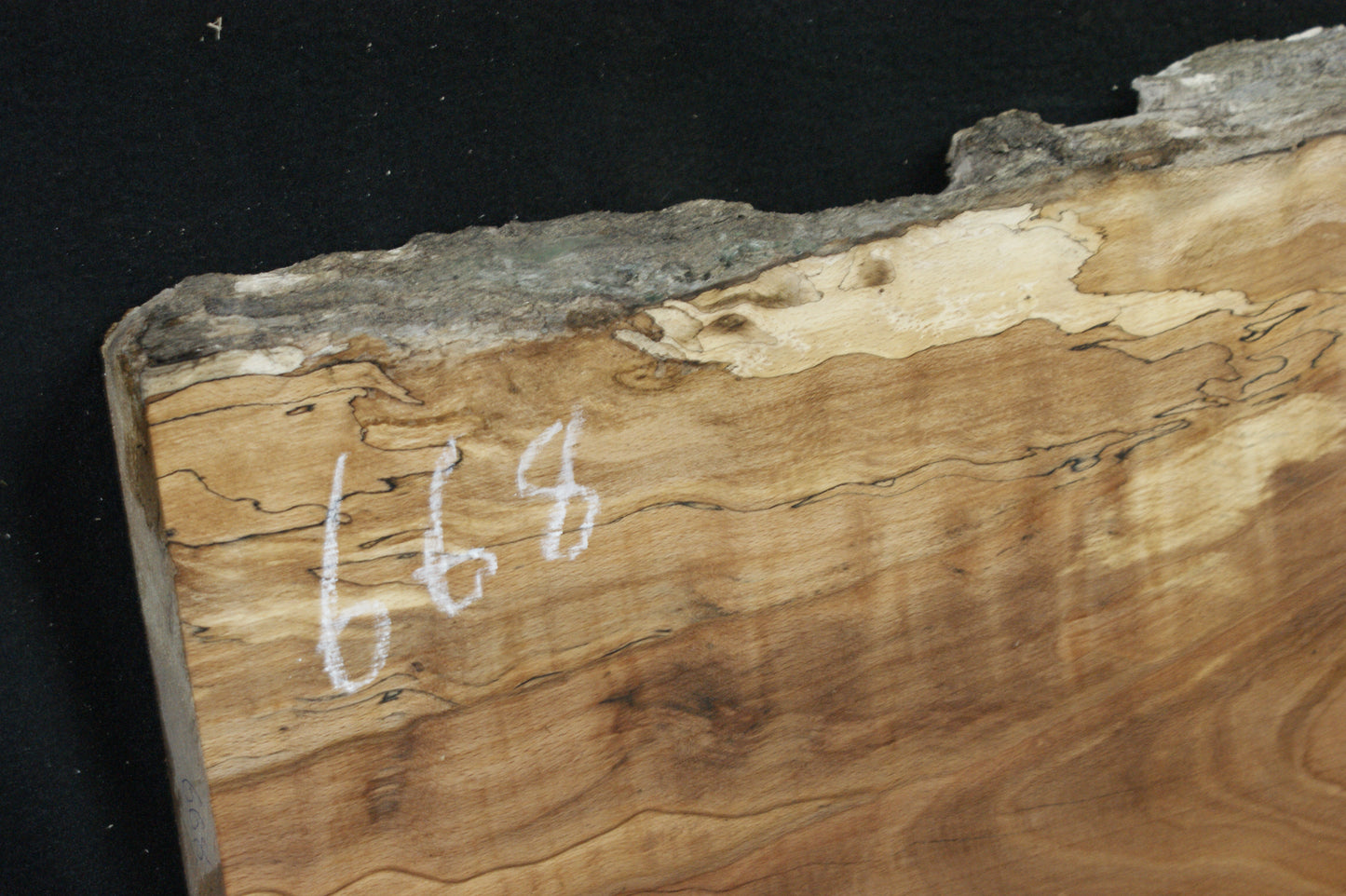 Spalted Beech (668)