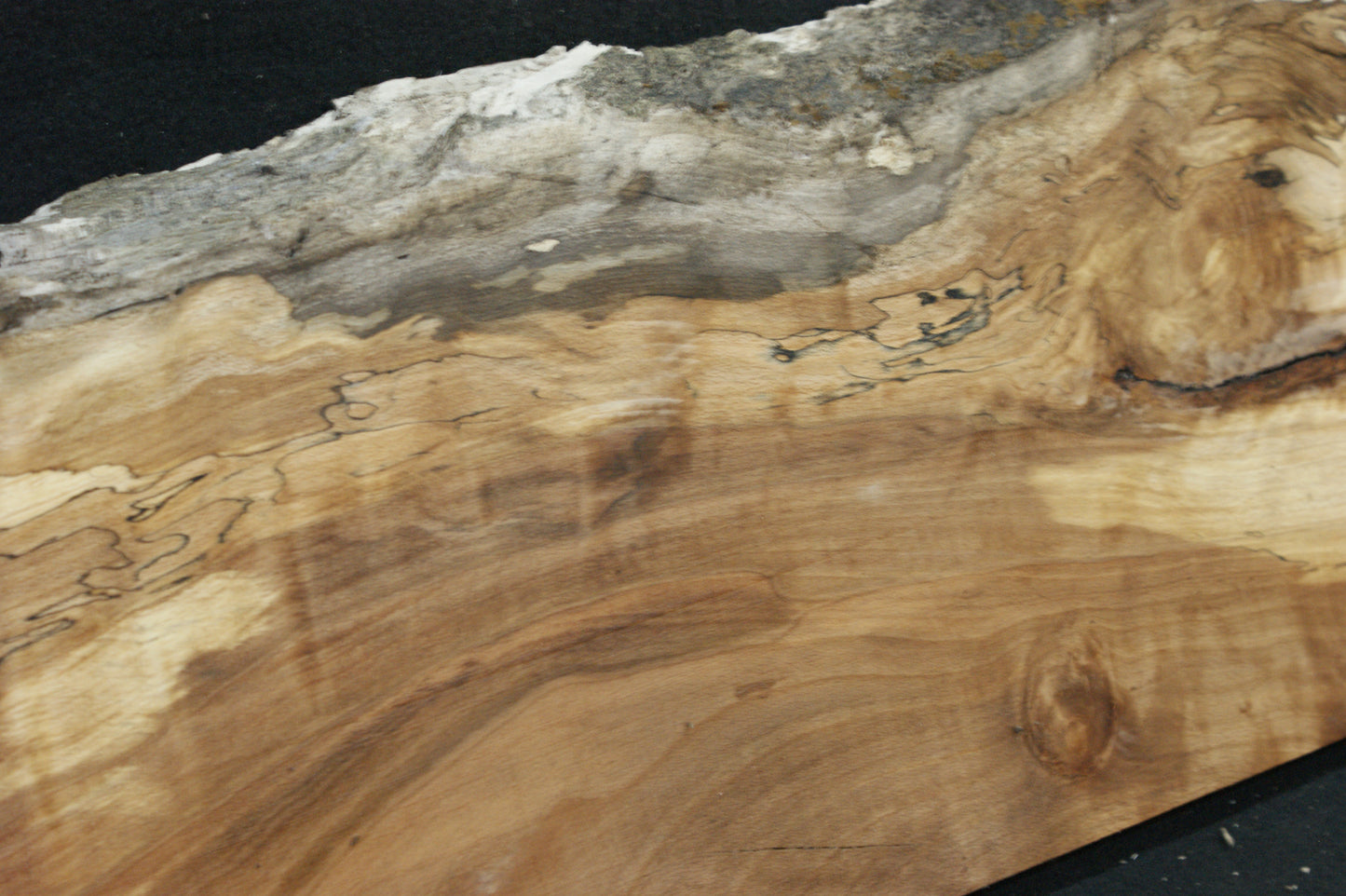 Spalted Beech (668)