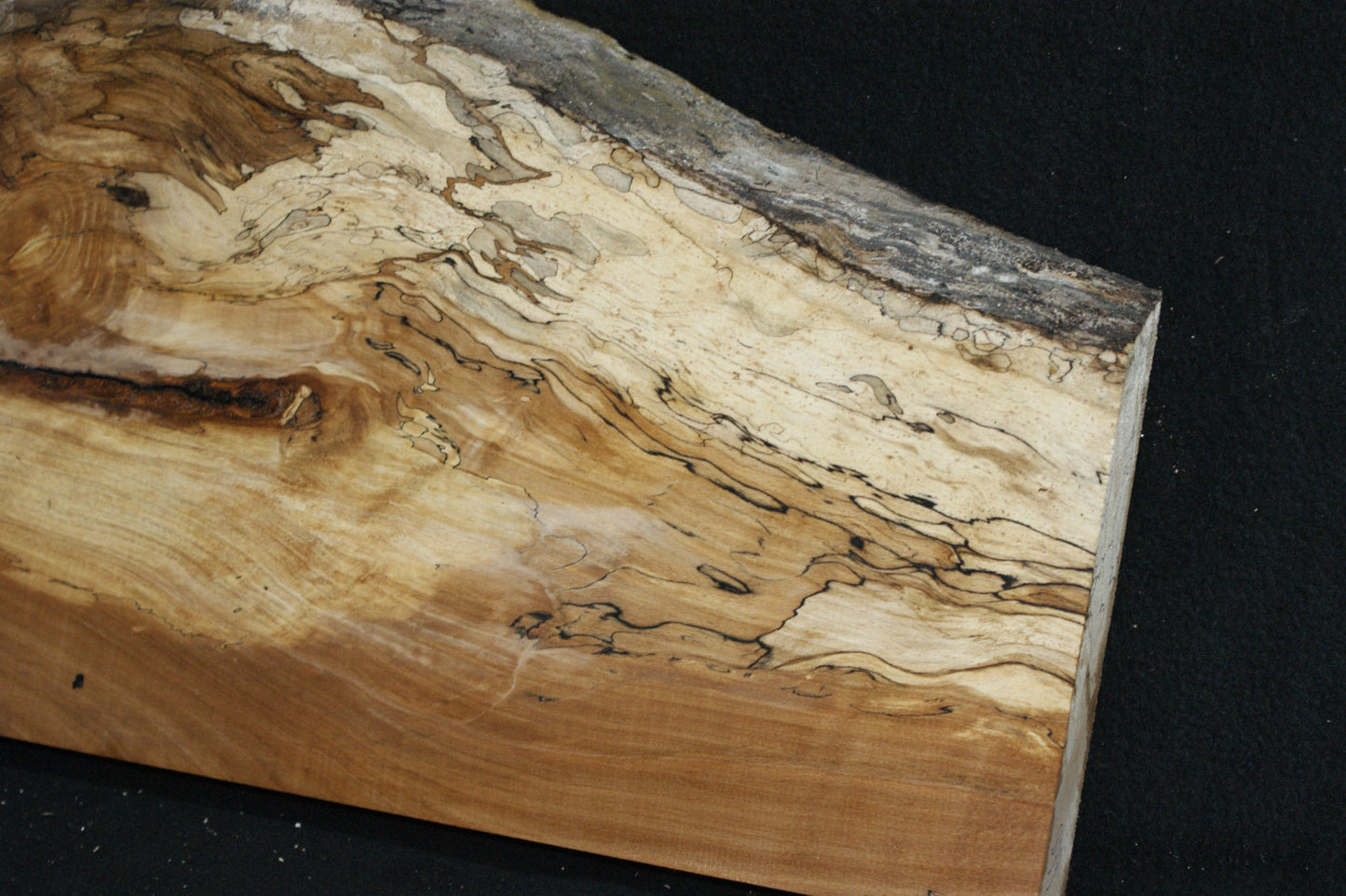Spalted Beech (668)