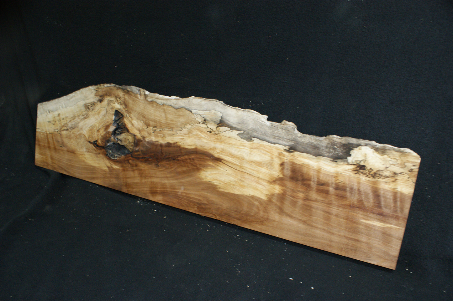 Spalted Beech (668)