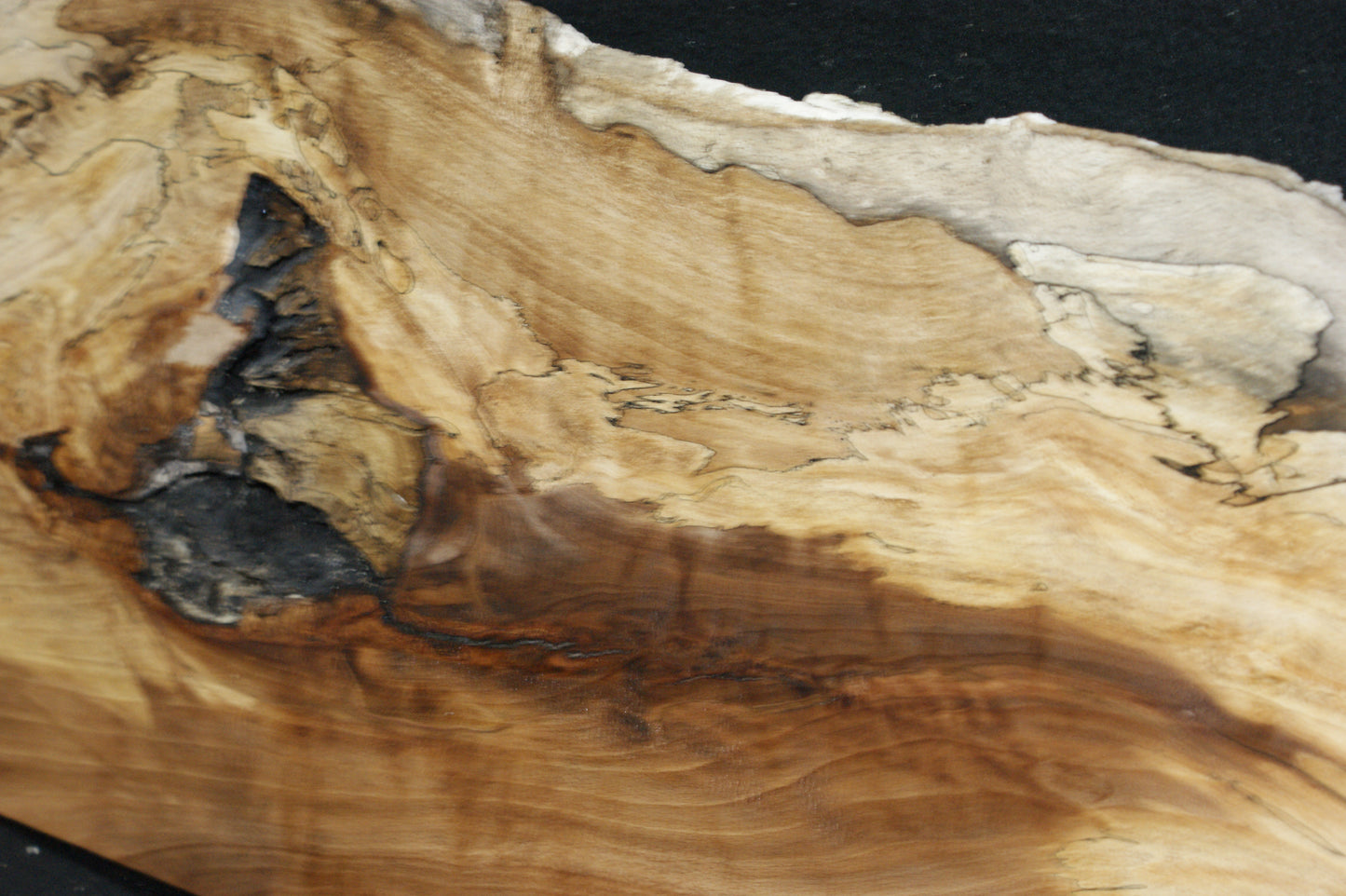 Spalted Beech (668)