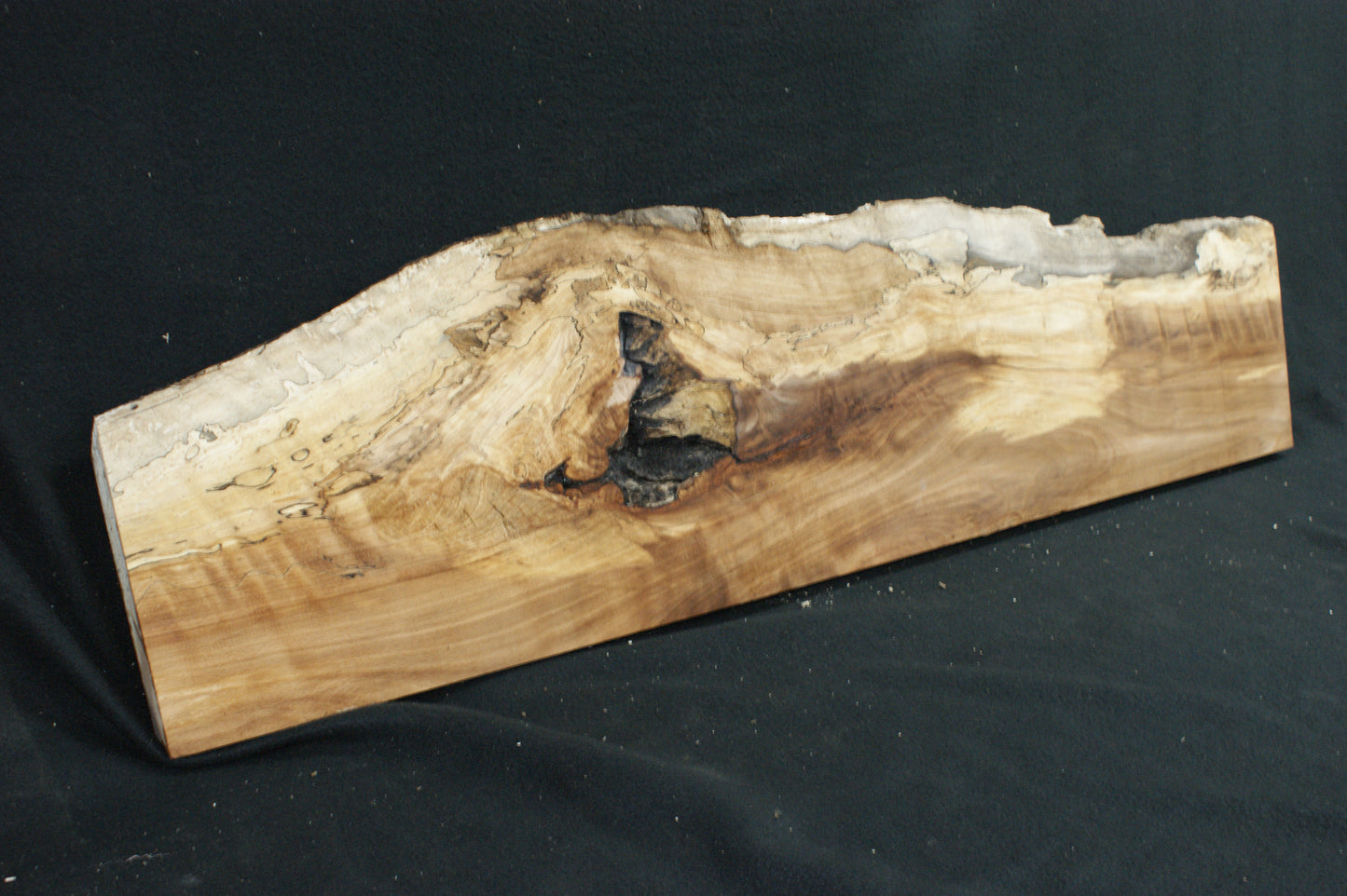 Spalted Beech (668)