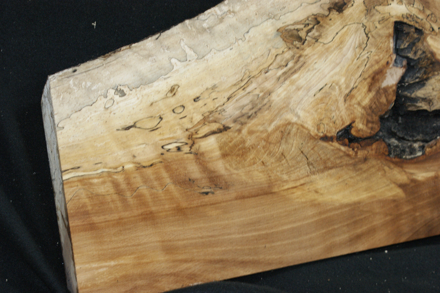 Spalted Beech (668)