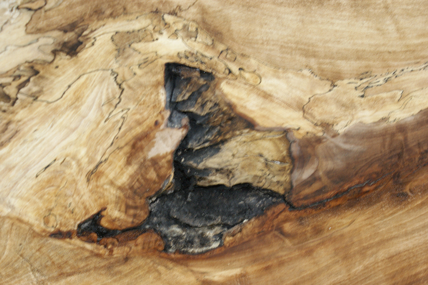 Spalted Beech (668)
