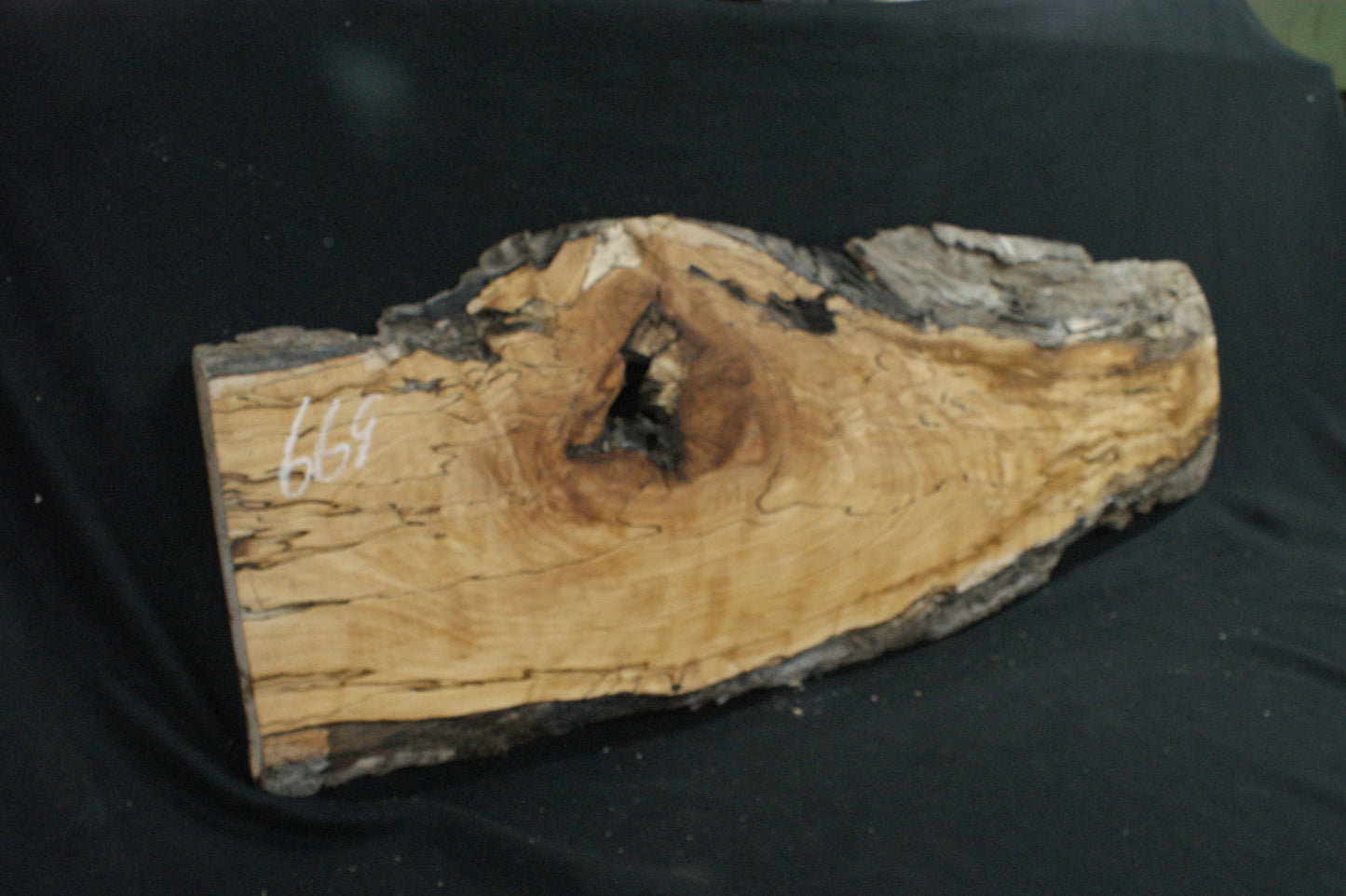 Spalted Beech (669)
