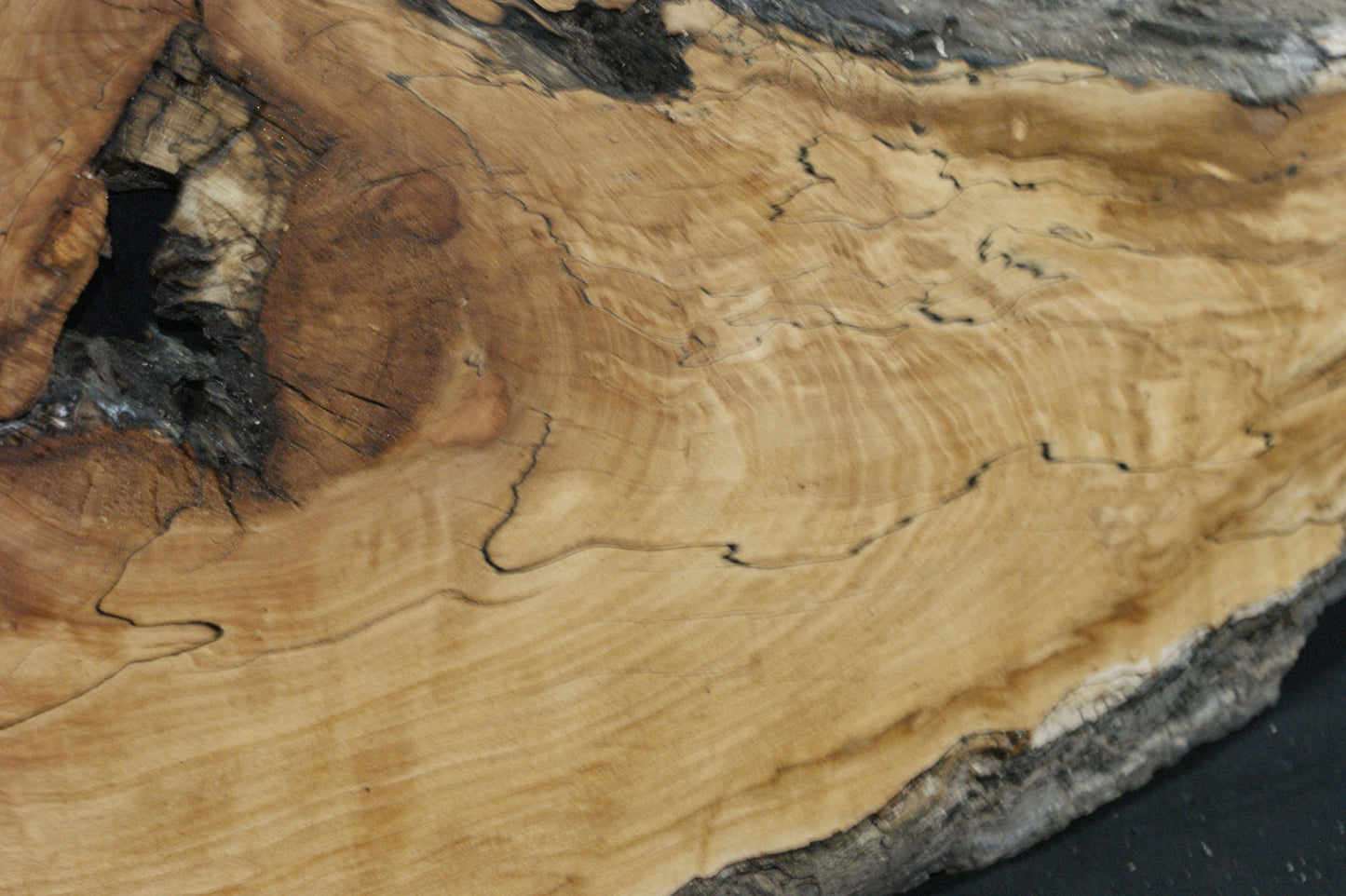 Spalted Beech (669)