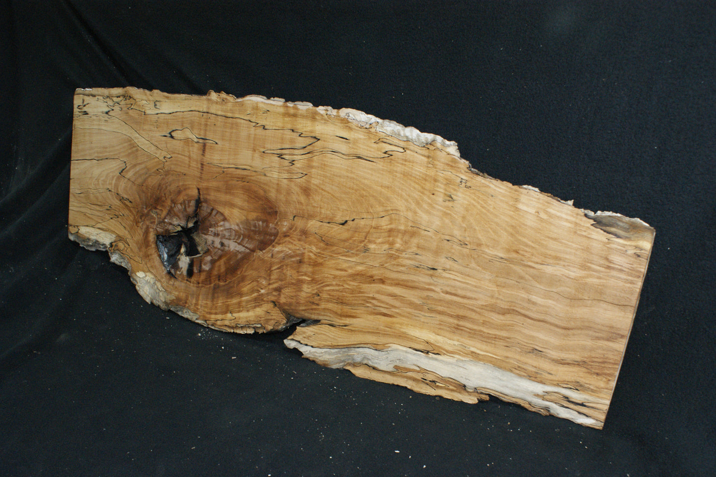 Spalted Beech (669)