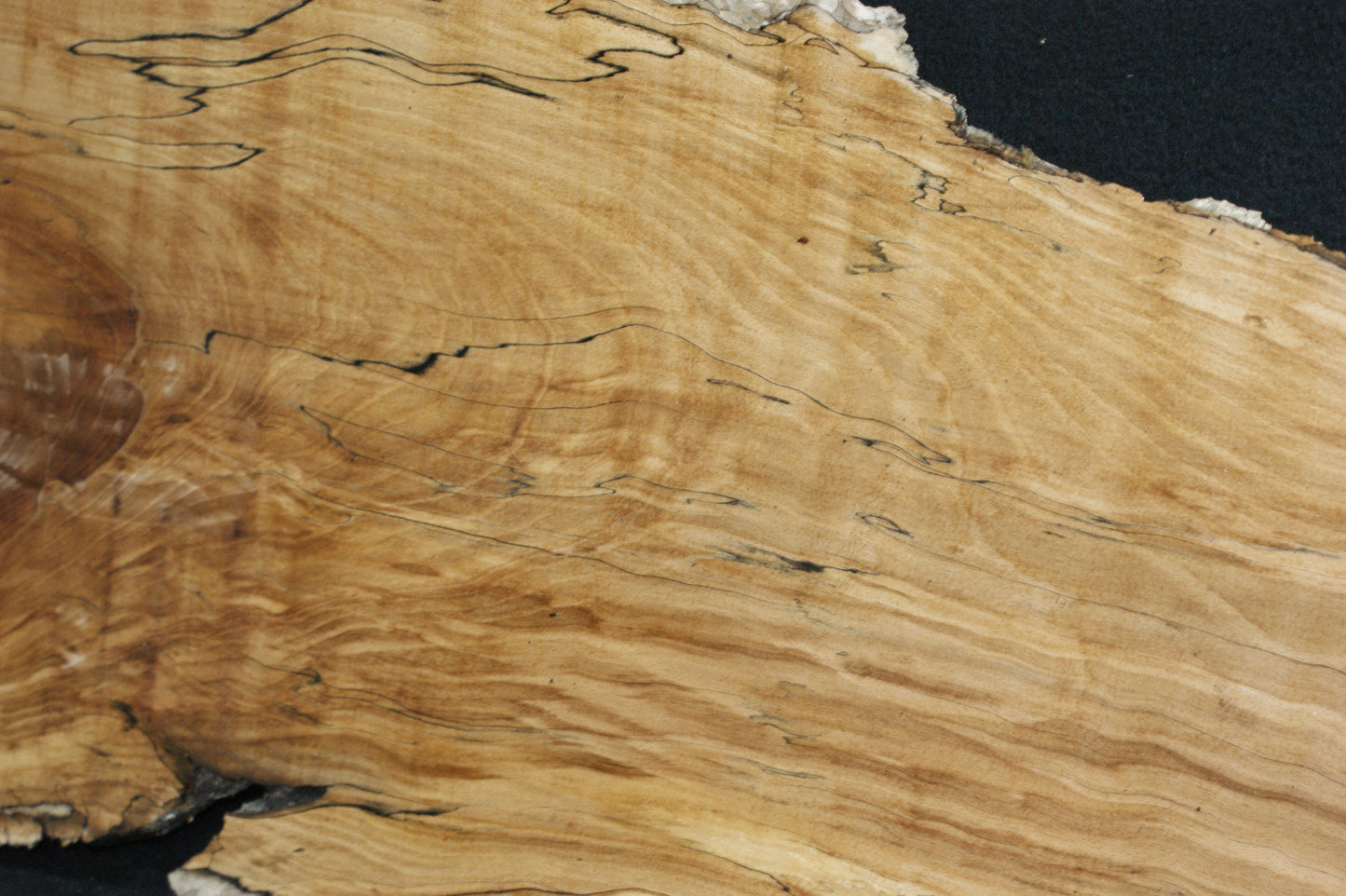 Spalted Beech (669)