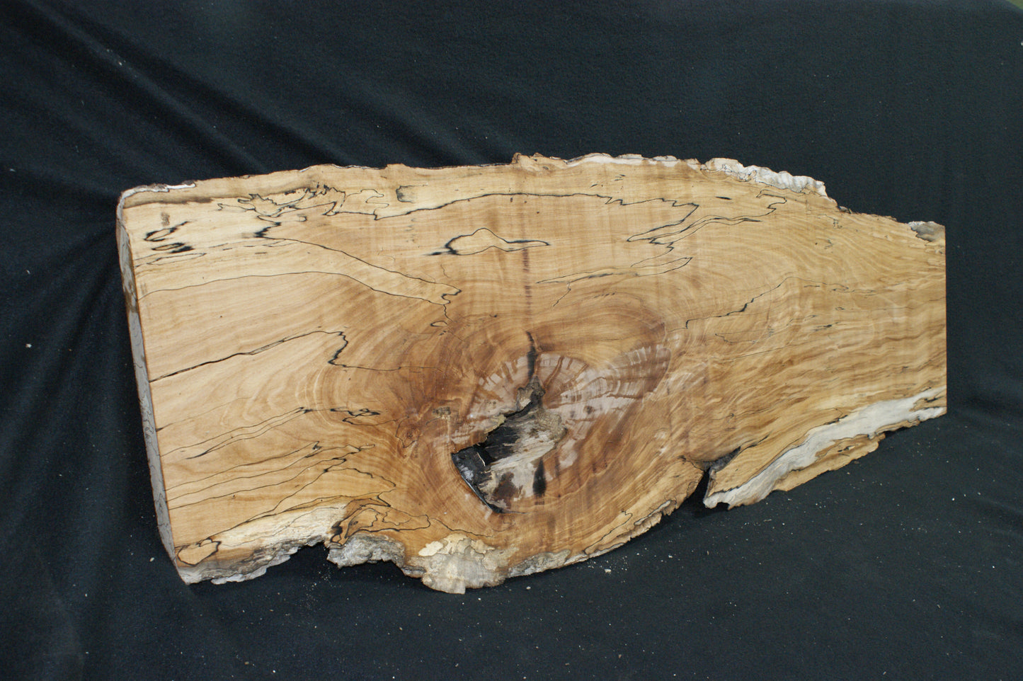 Spalted Beech (669)