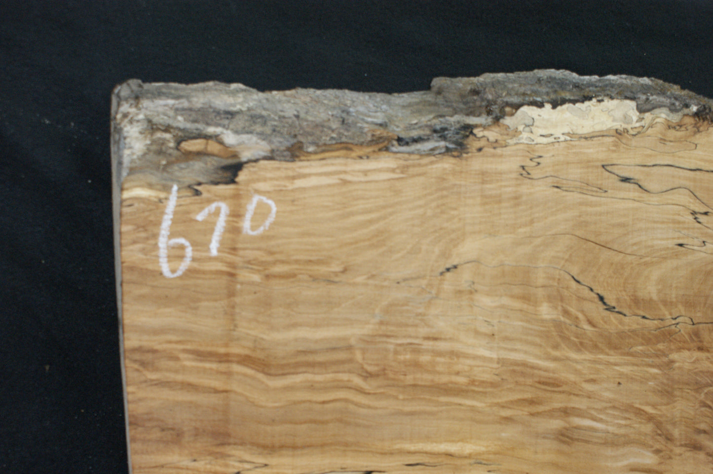 Spalted Beech (670)