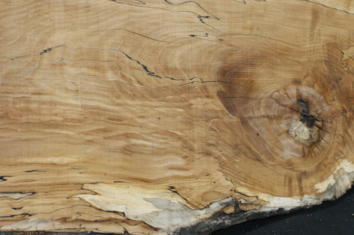 Spalted Beech (670)