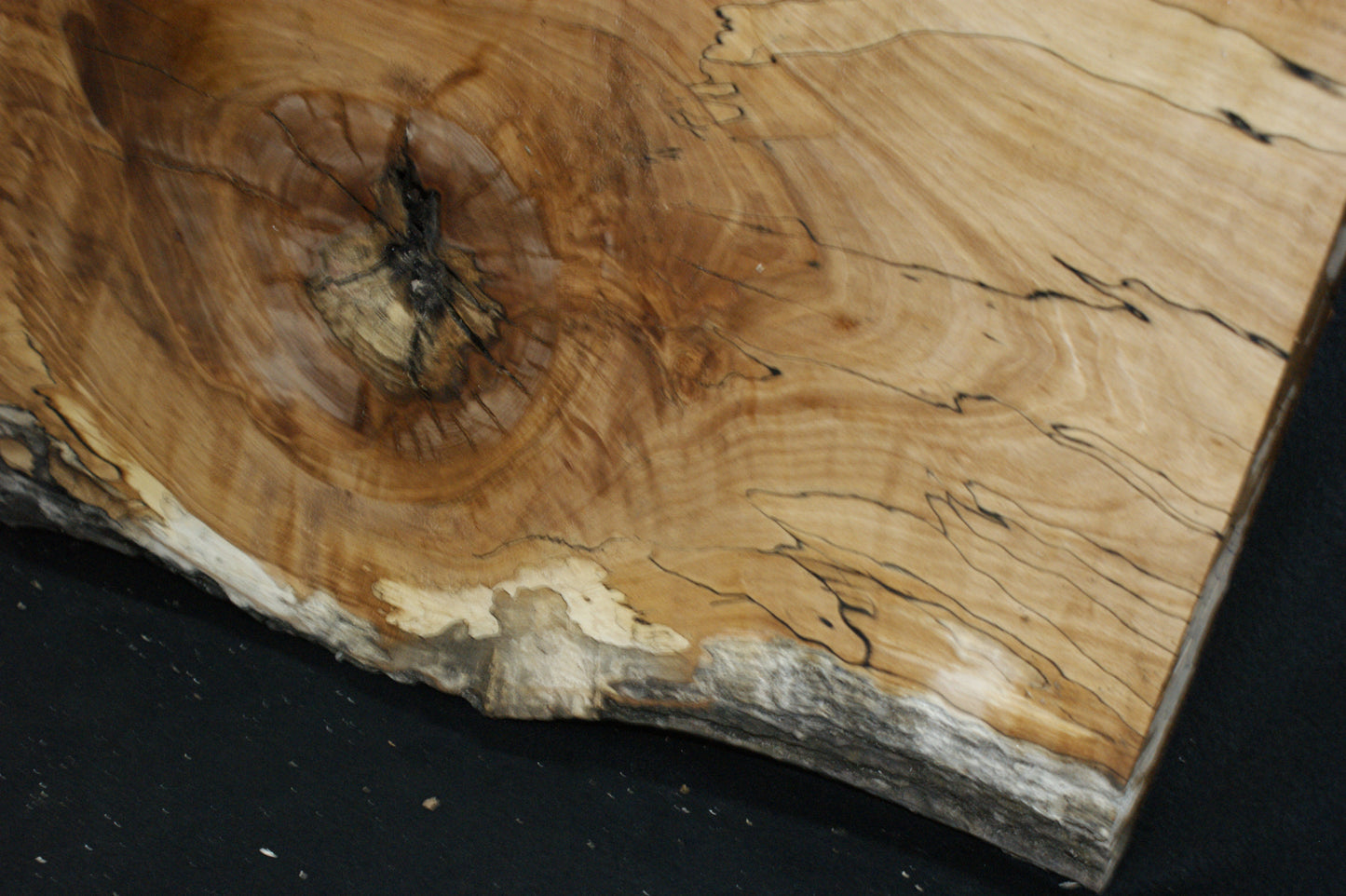 Spalted Beech (670)