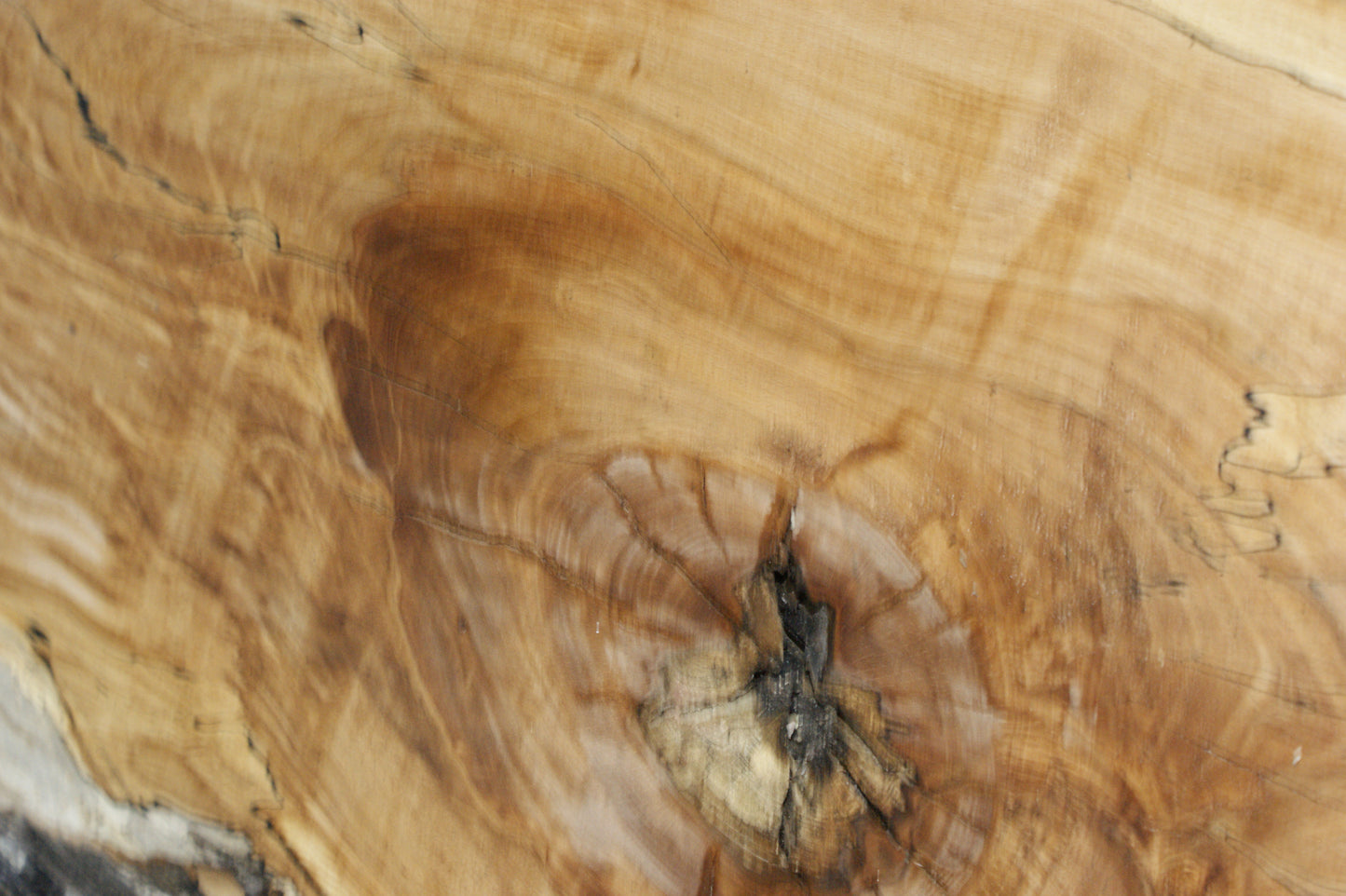 Spalted Beech (670)