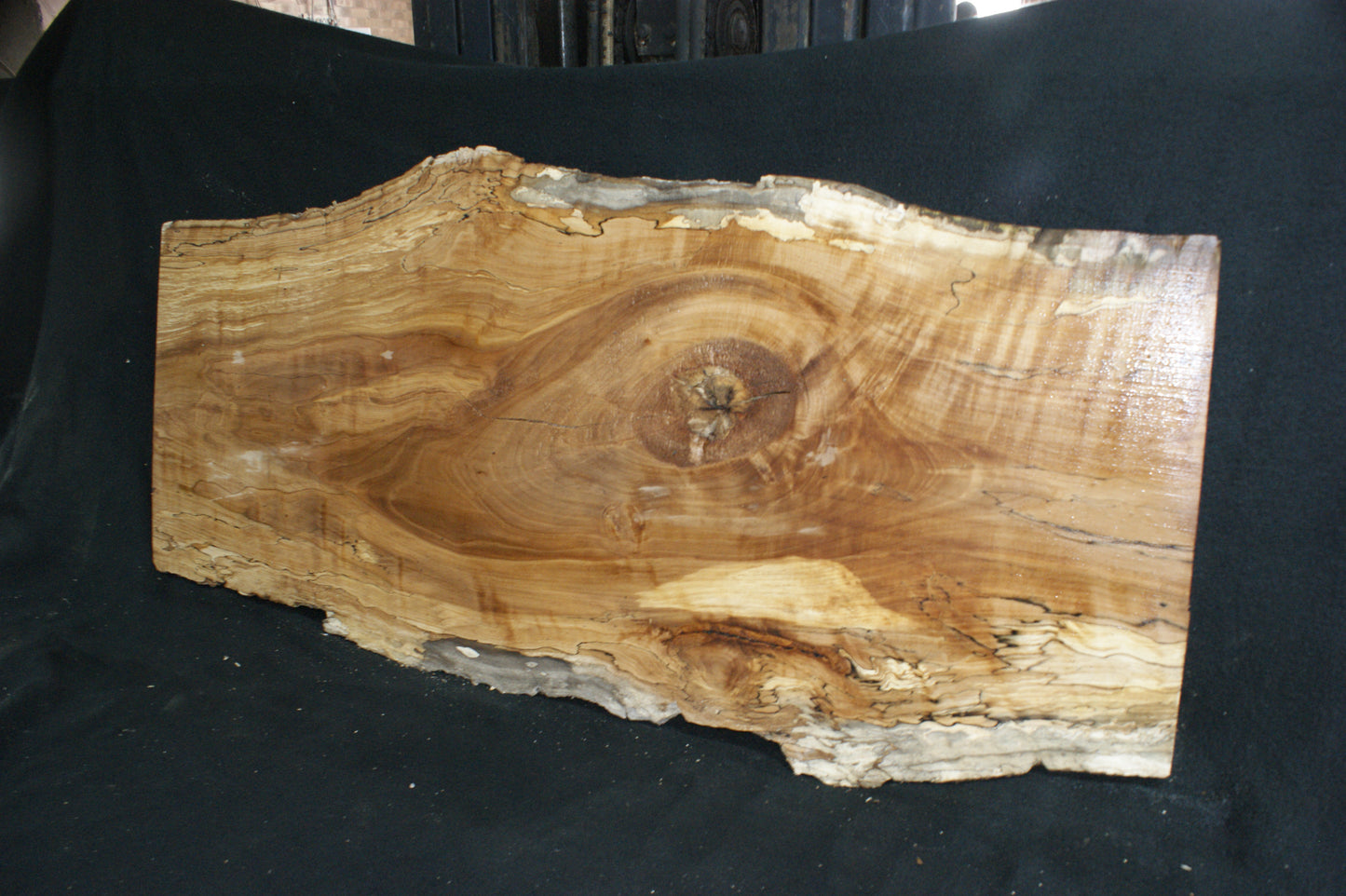Spalted Beech (670)