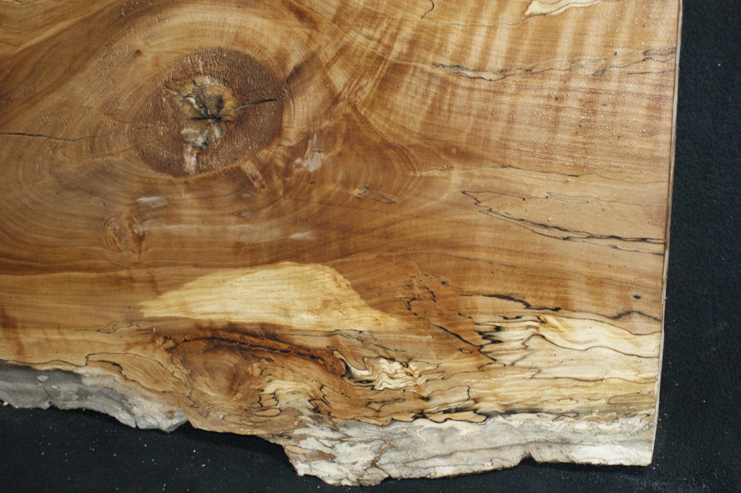 Spalted Beech (670)