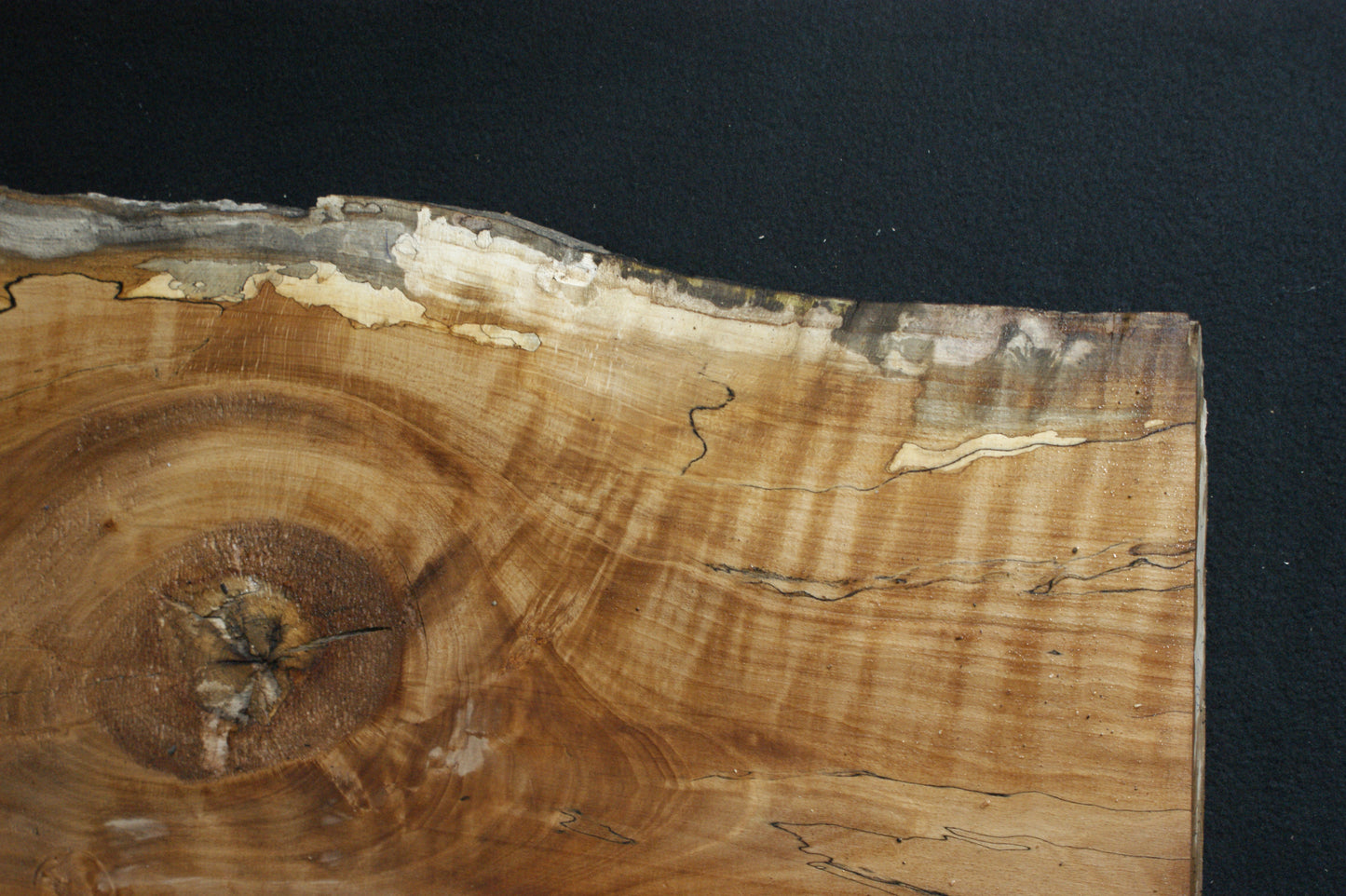 Spalted Beech (670)