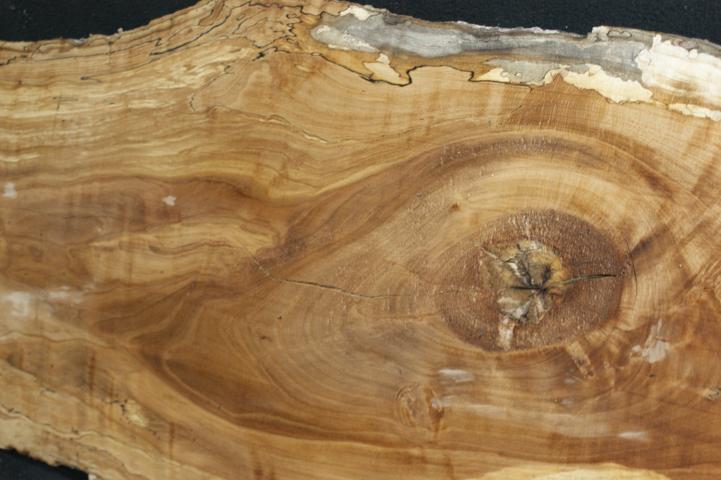 Spalted Beech (670)