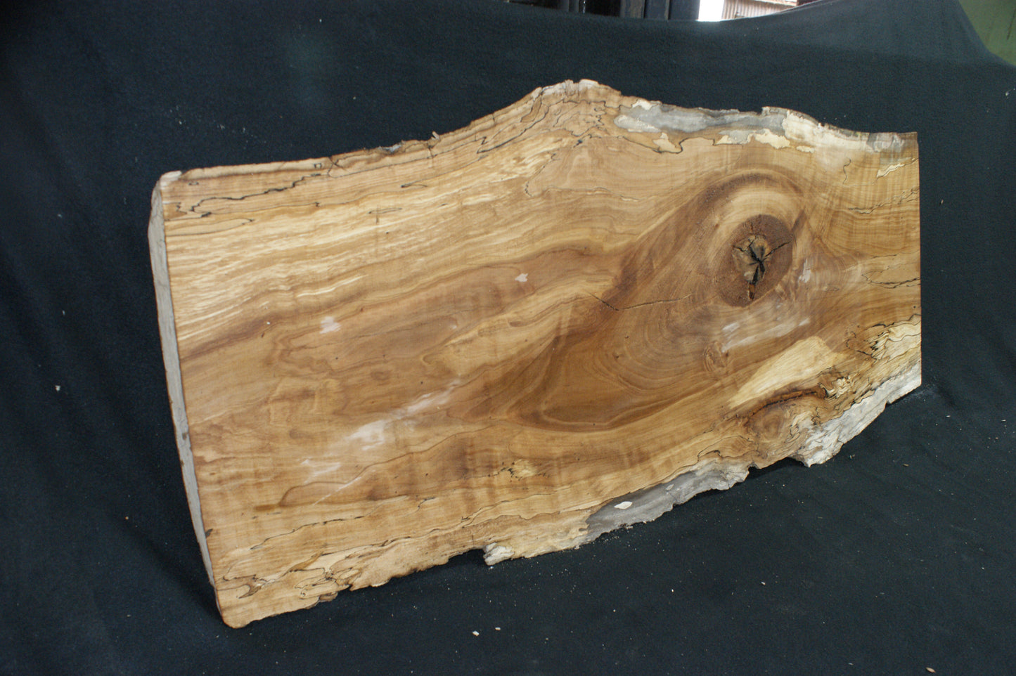 Spalted Beech (670)