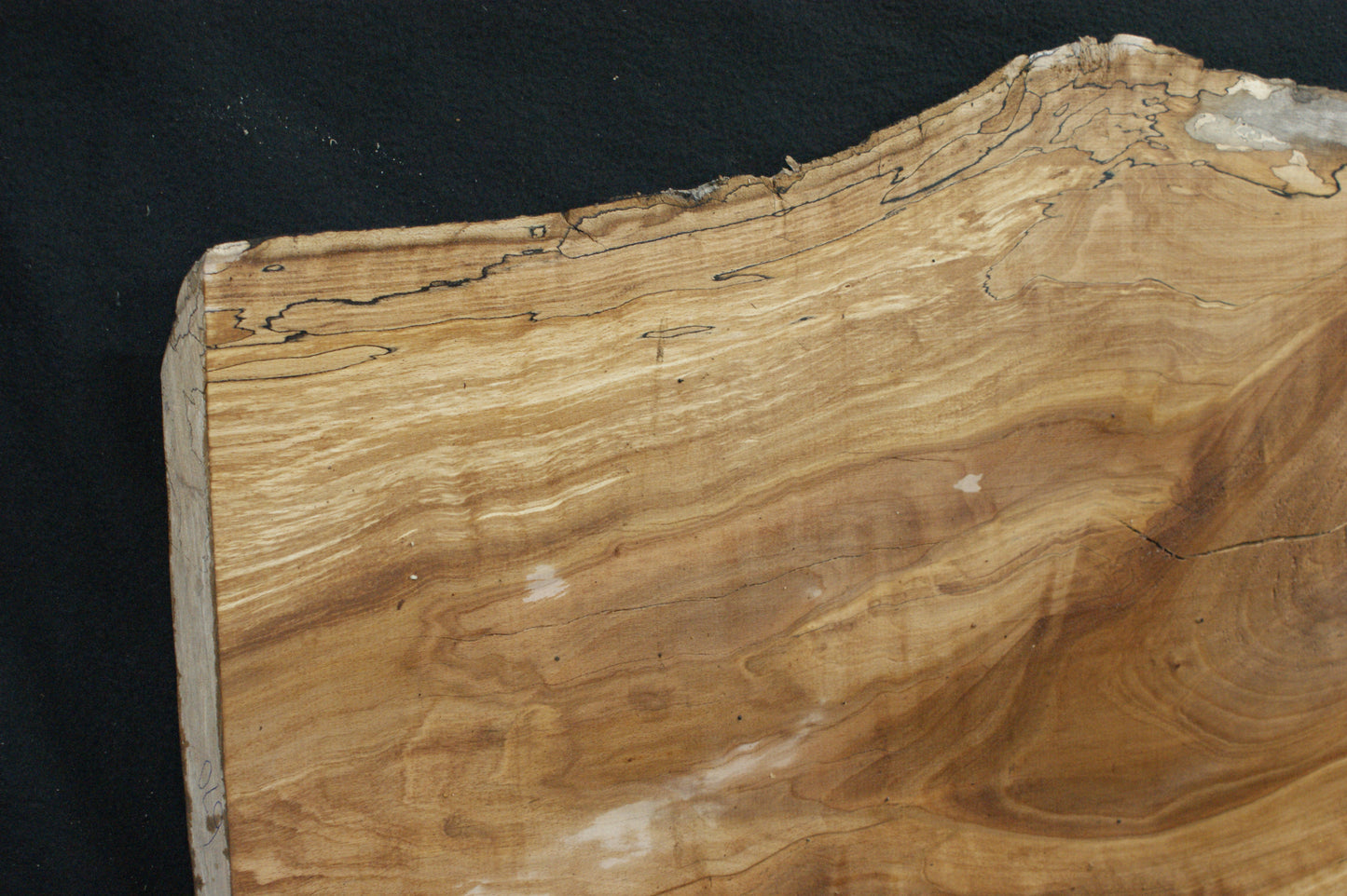 Spalted Beech (670)