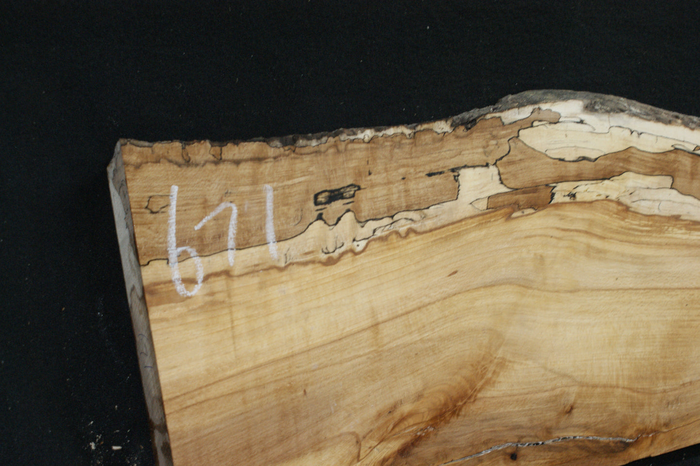 Spalted Beech (671)