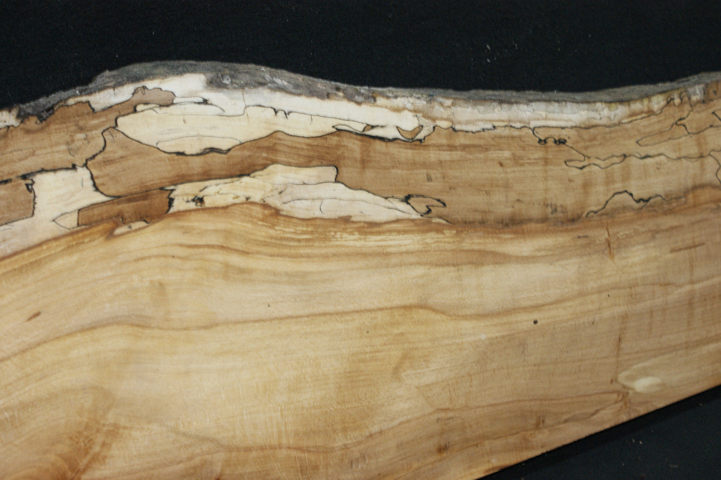 Spalted Beech (671)
