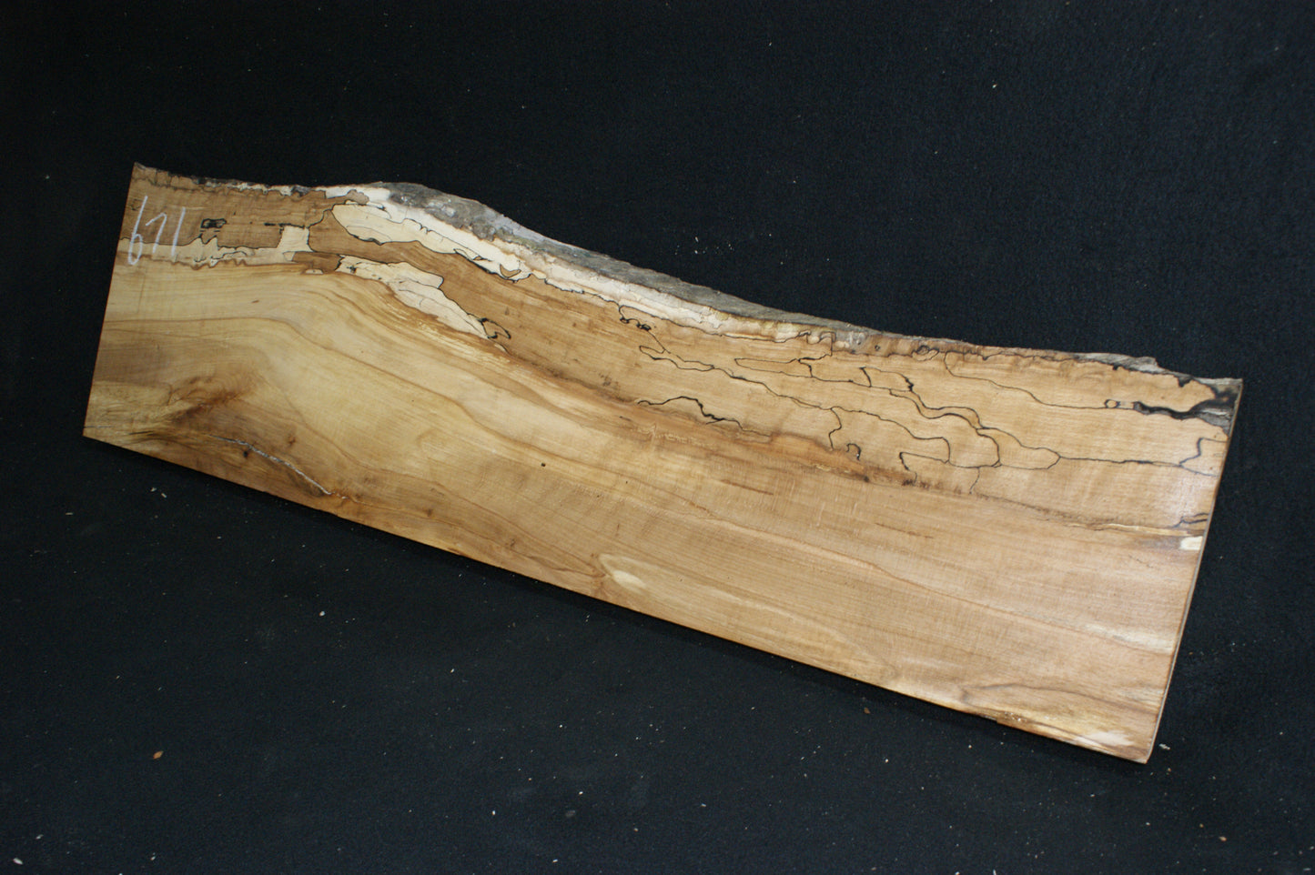 Spalted Beech (671)