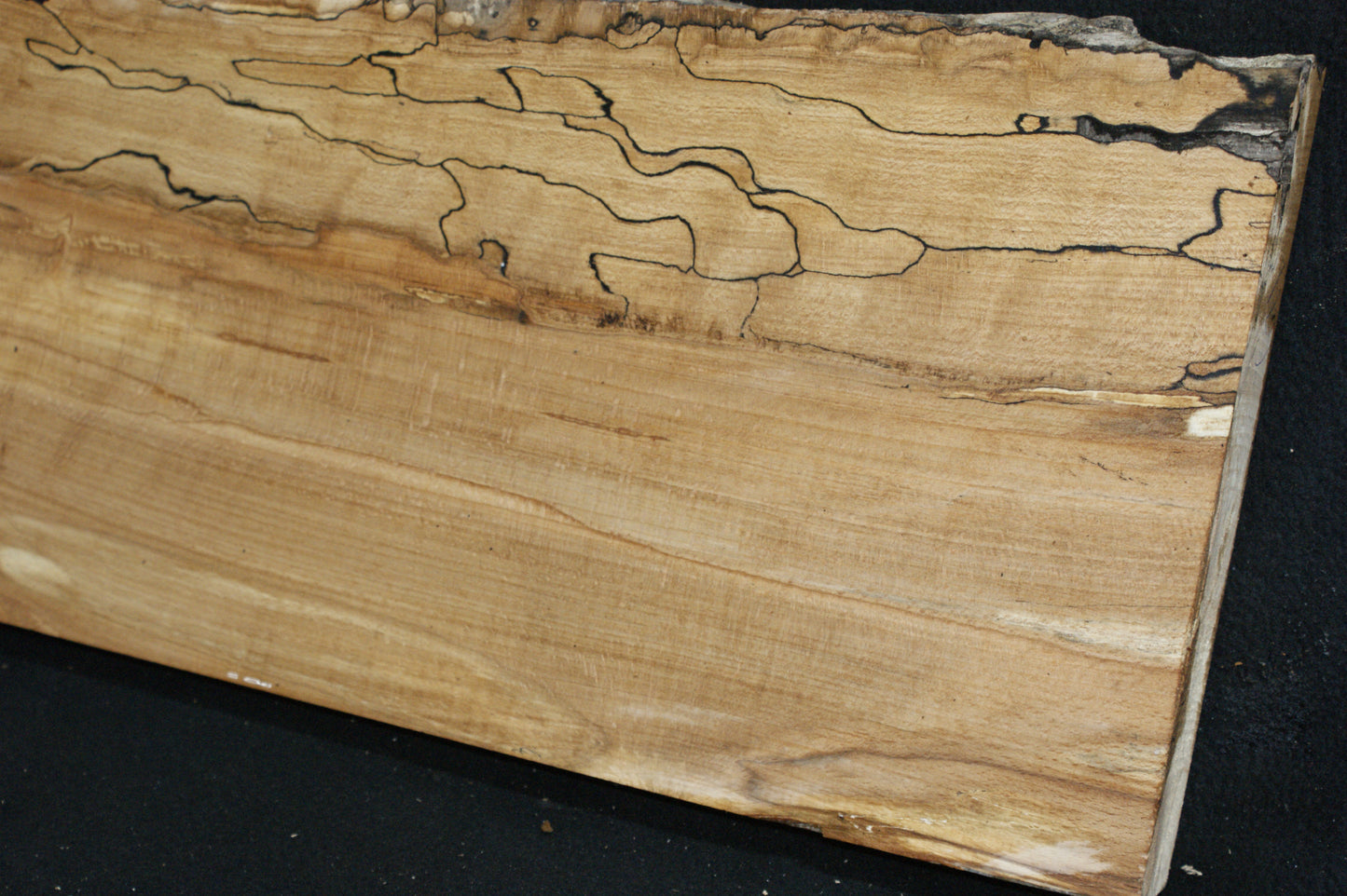 Spalted Beech (671)