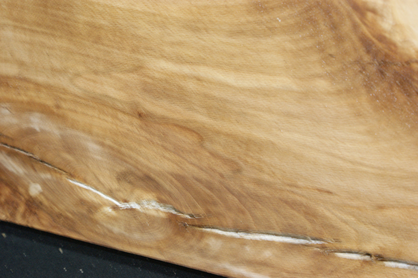 Spalted Beech (671)