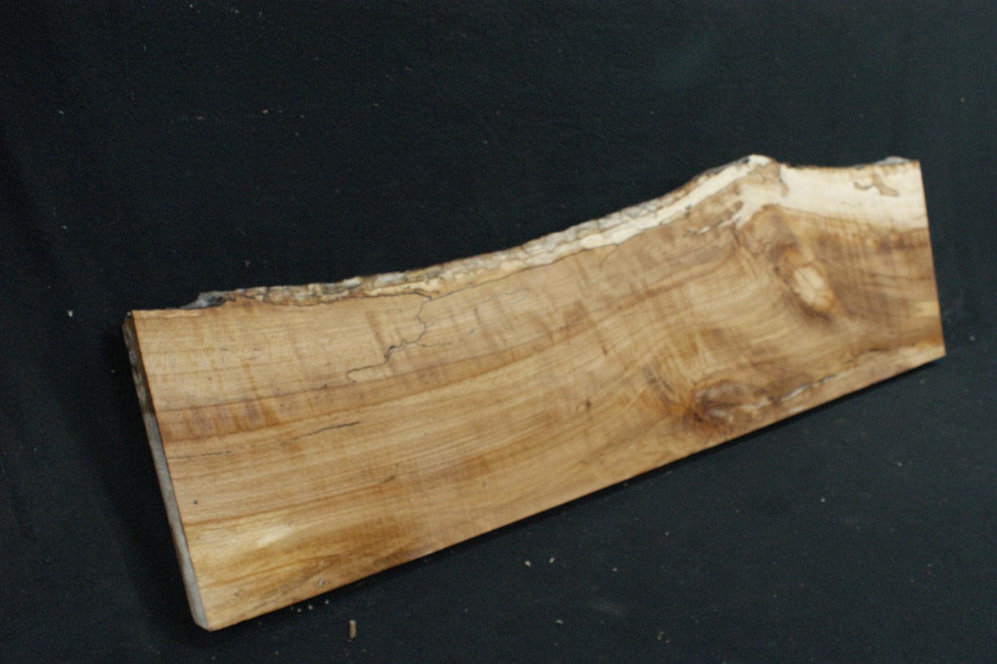 Spalted Beech (671)