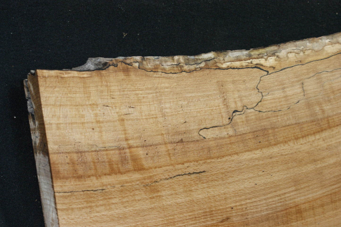 Spalted Beech (671)