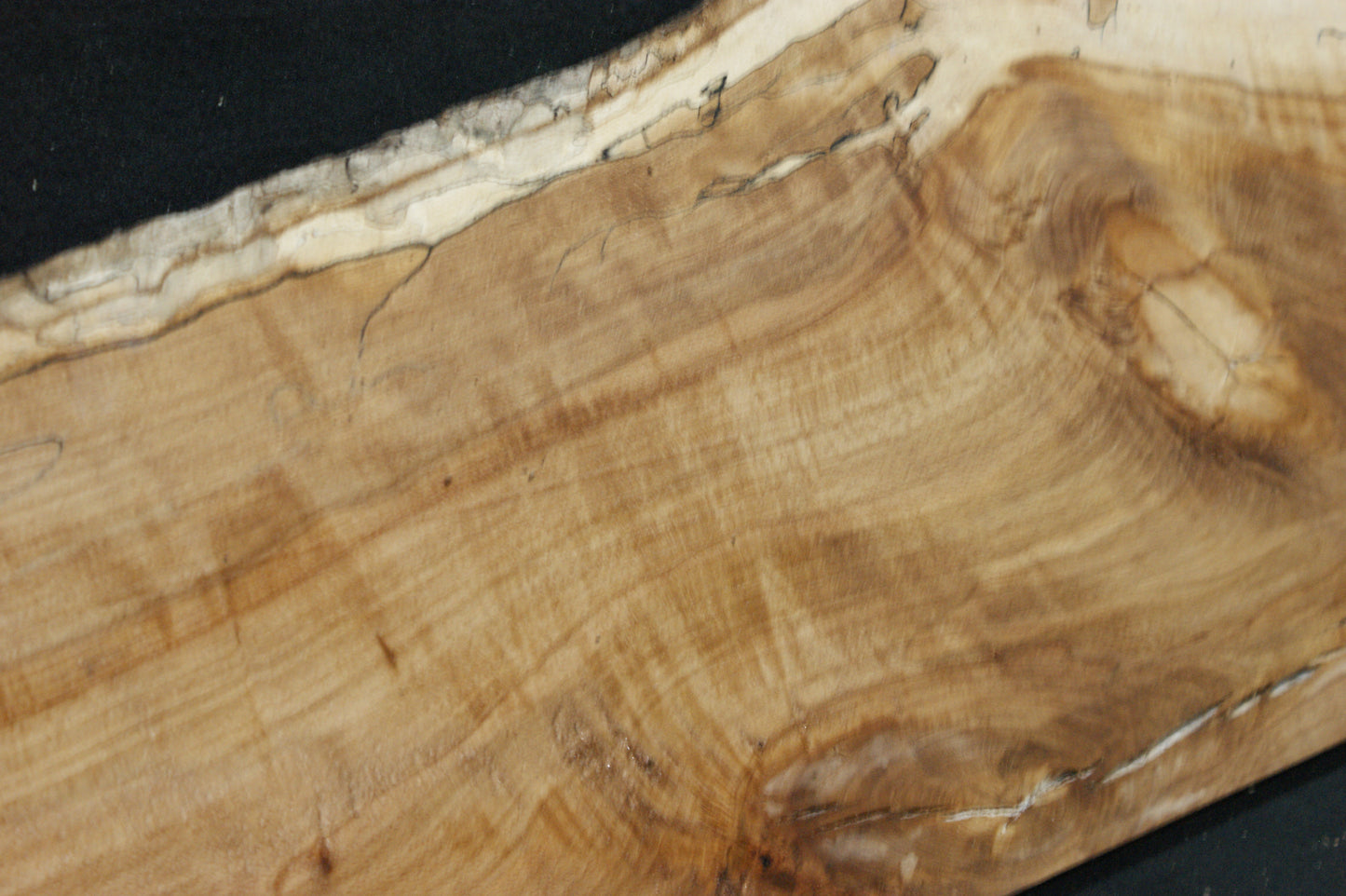 Spalted Beech (671)