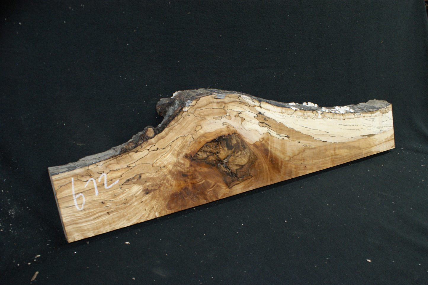 Spalted Beech (672)