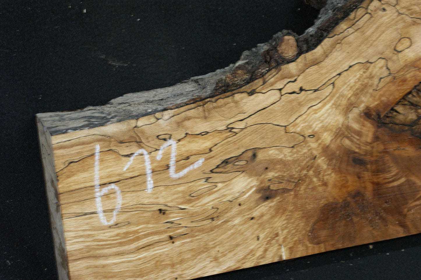 Spalted Beech (672)