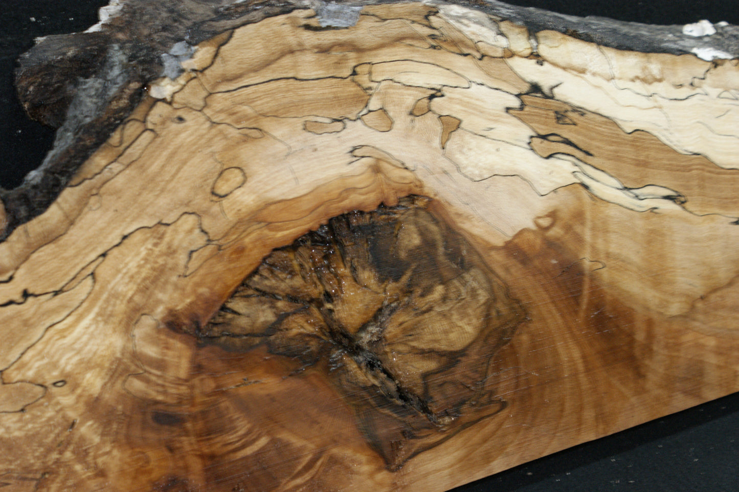 Spalted Beech (672)