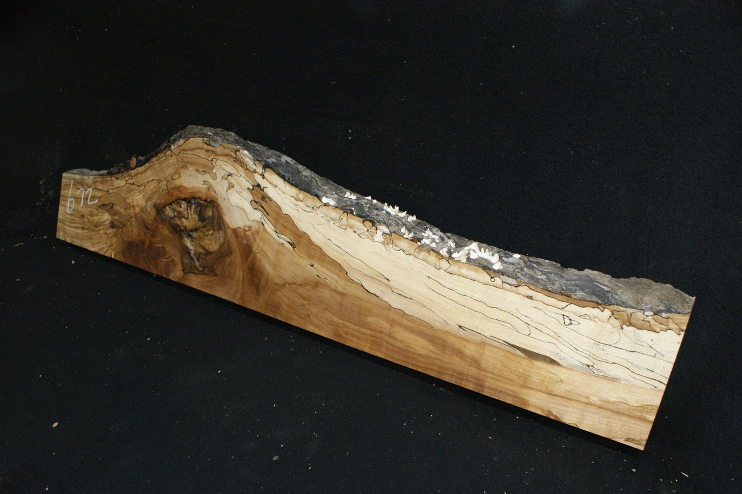 Spalted Beech (672)