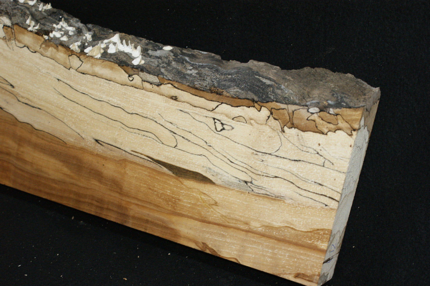 Spalted Beech (672)