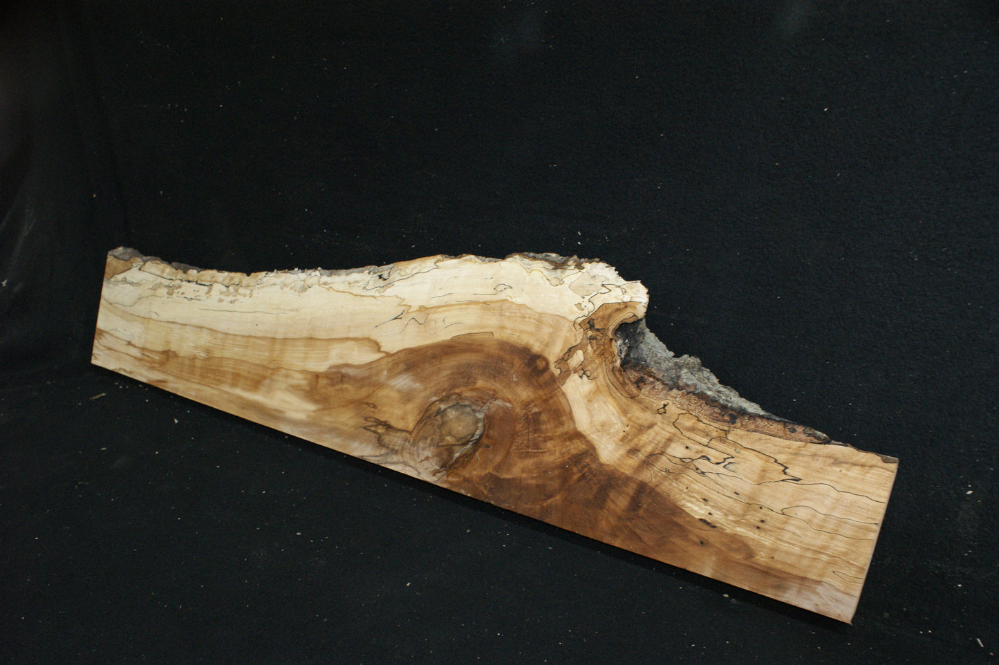Spalted Beech (672)